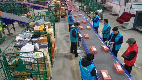 美國農業補貼再增190億美元，為何農場破產率仍飆升8%？出口受阻成關鍵因素